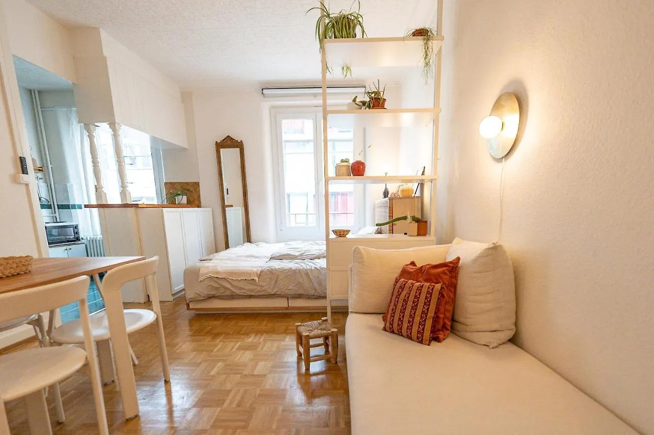 Beautiful Central Apartment Steps From Lake And Water Jet Женева