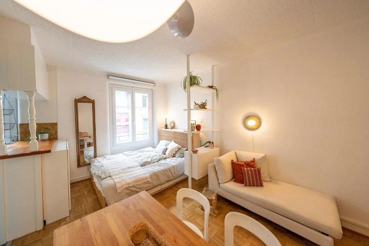 Beautiful Central Apartment Steps From Lake And Water Jet Женева
