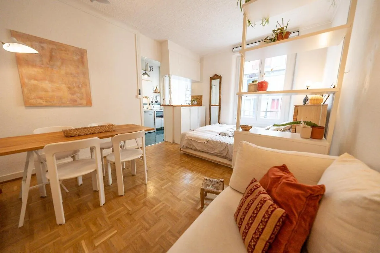 Beautiful Central Apartment Steps From Lake And Water Jet Женева